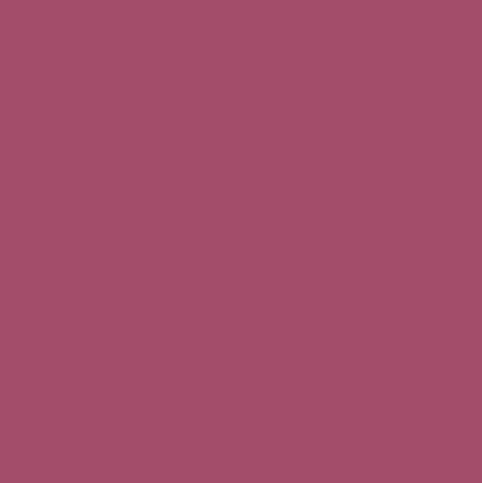 L\'ORAL COLOR RICHE ADDICTIVE PLUM 503 5ML