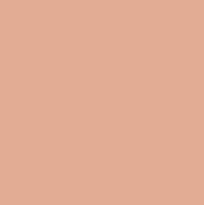 SENSAI TOTAL FINISH POLVOS COMPACTOS RECARGA 02 APRICOT BEIGE