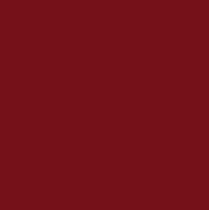 ASTOR FASHION STUDIO GARNET GLOVES 403 6ML