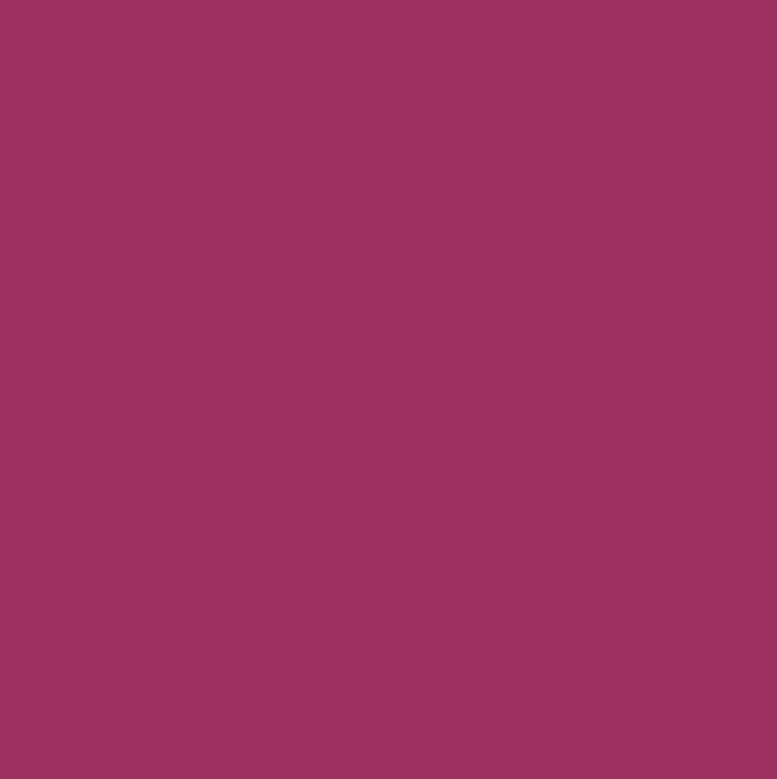 ASTOR FASHION STUDIO PURPLE FUSION 433 6ML