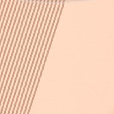 CATRICE ALL MATT PLUS SHINE CONTROL POLVOS MATIFICANTES 002 BANANA SHADE