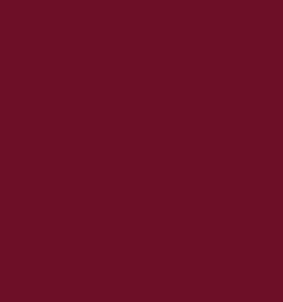 CATRICE GLOSSIN GLOW TINTED ACEITE LABIAL 070