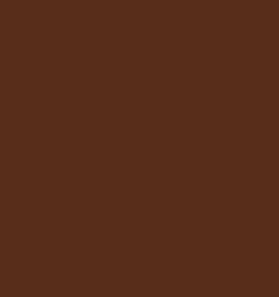 CATRICE EYE BROW STYLIST LAPIZ PARA CEJAS 070 CHESTNUT CHARM