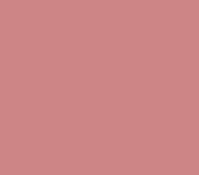 CHEN YU ROUGE GLAMOUR SUBLIME 219 LIQUIDACI�N!