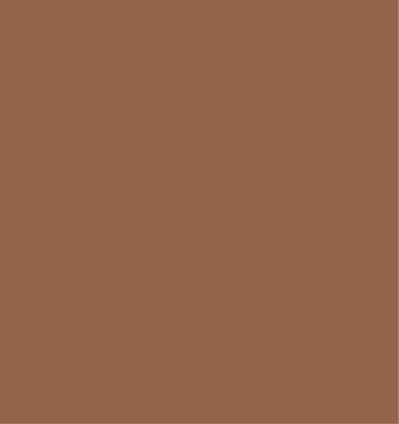 CLARINS BROW DUO 02 CHESTNUT