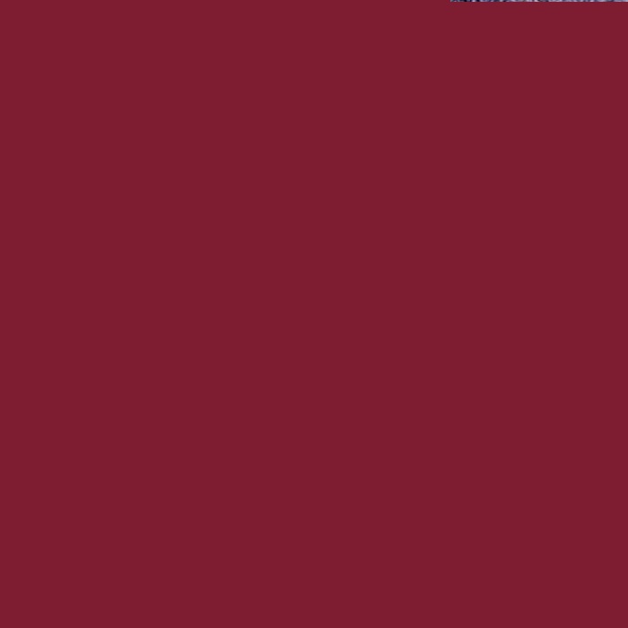 CLARINS JOLI ROUGE LACQUER 744 L PLUM