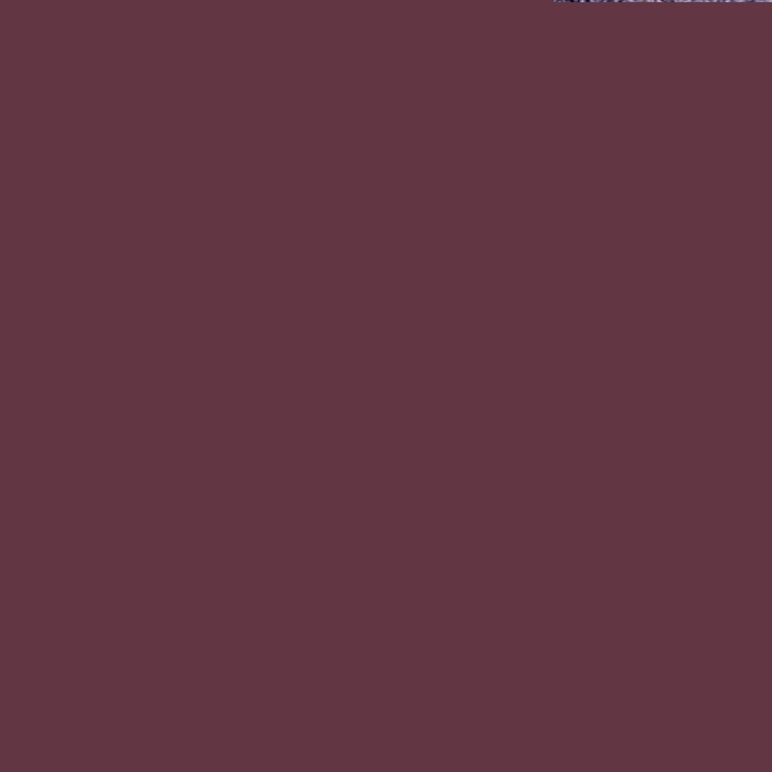CLARINS JOLI ROUGE VELVET BARRA DE LABIOS MATE COLOR 744 PLUM