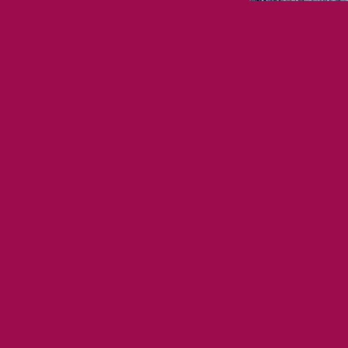 CLARINS WATER LIP STAIN 04 VIOLET