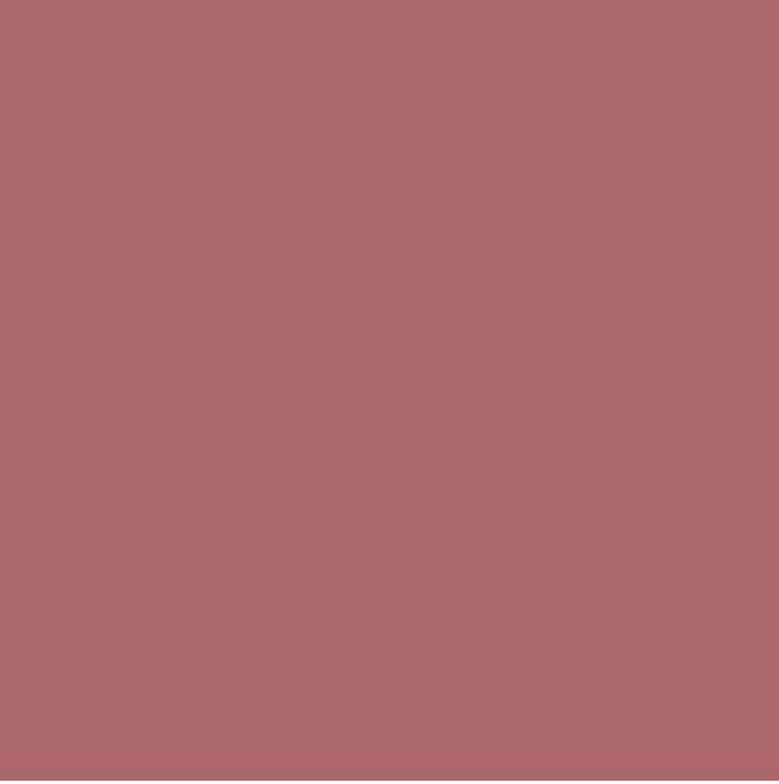 ESSENCE 8H MATTE CONFORT PERFILADOR DE LABIOS 19 BURGUNDY BESTIE