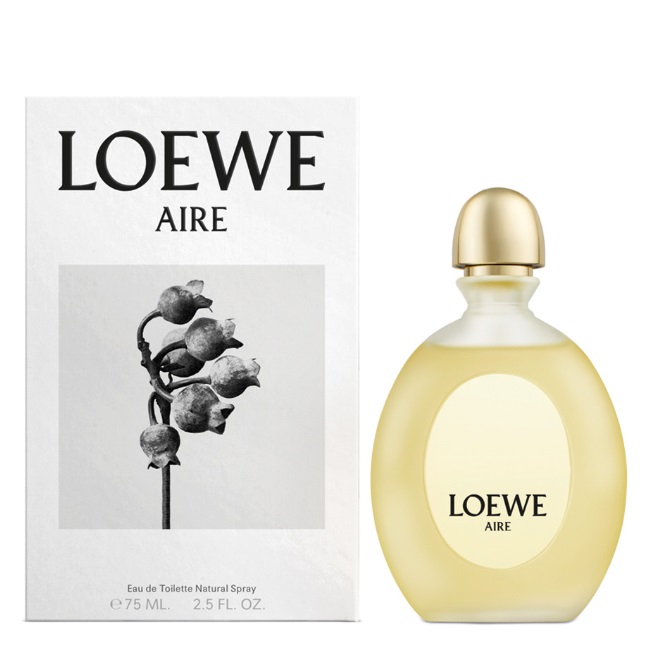 loewe aire hombre