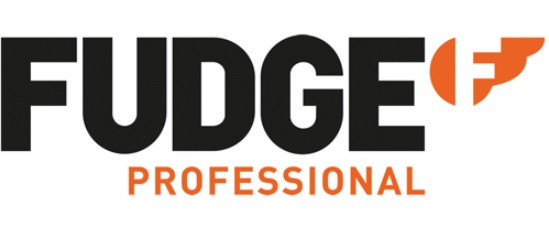 FUDGE PROFESSIONAL