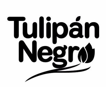 TULIPAN NEGRO