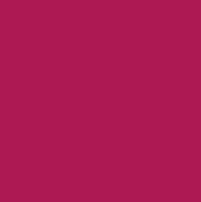 L\'ORAL COLOR RICHE GYPSY COUTURE 194 5ML