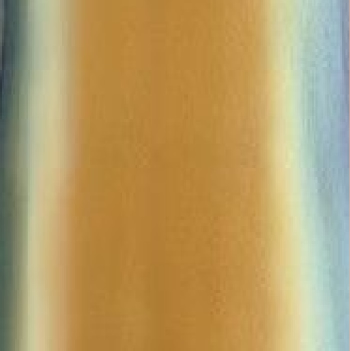 REVLON ESMALTE DE UAS CHAMALEON 933