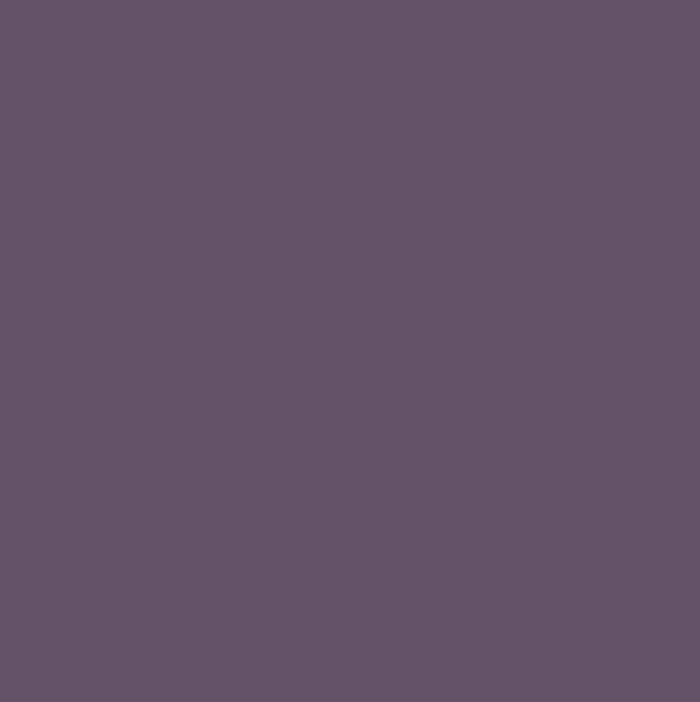 SALLY HANSEN ESMALTE UAS MAGNETIC COLOR 902 POLAR PURPLE