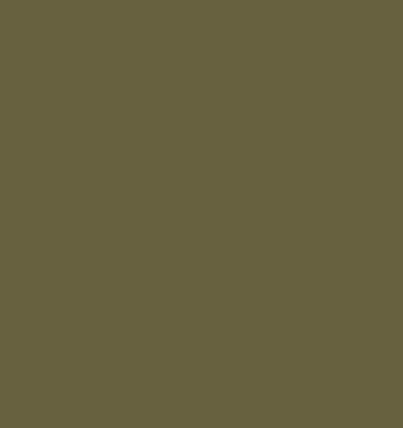 SISLEY LES PHYTO-OMBRES 25 METALLIC KHAKI 1.5 GR